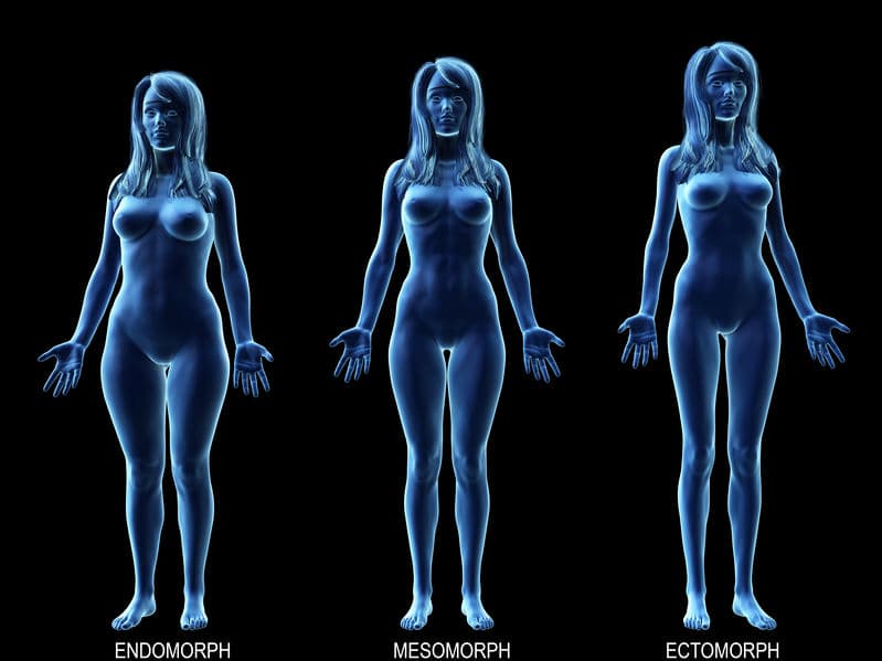 Human body types. Mesomorphic athletic body and full endomorphic