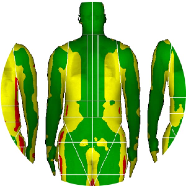 How a DEXA Body Fat, Muscle, and Bone Scan Can Help You Get Fit